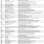 Relay Codes